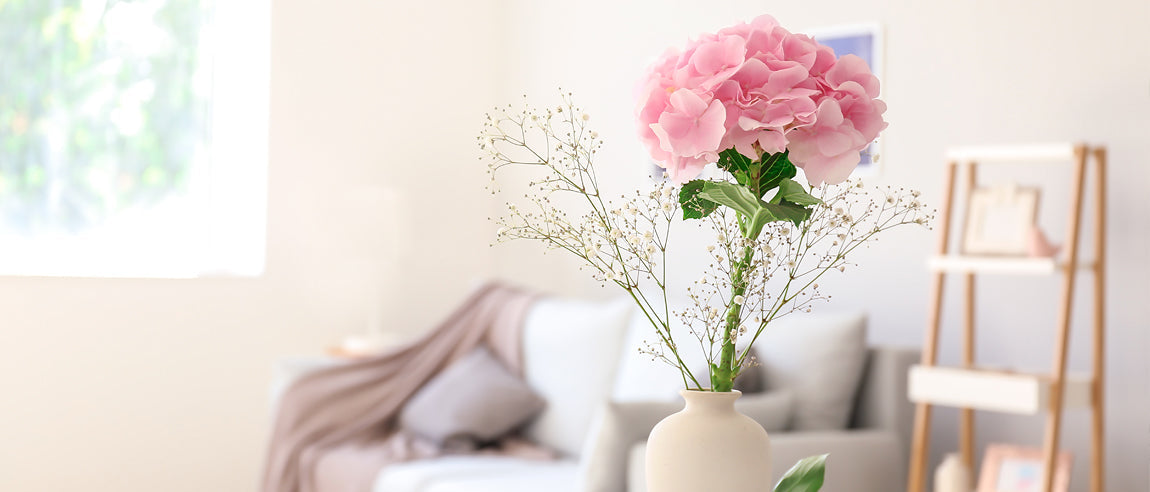 Blahopřání k narozeninám