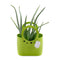 03000014_aloe-vera-v-plastovej-taske
