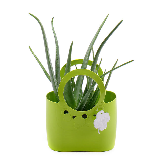 03000014_aloe-vera-v-plastovej-taske