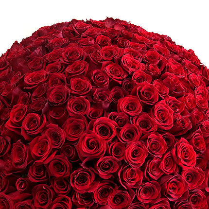 03000019_amore-cervene-ruze-250