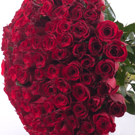 03000021_amore-cervene-ruze-grand