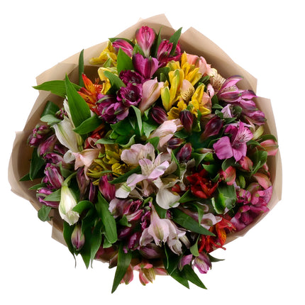 03000025_amore-farebne-alstromerie