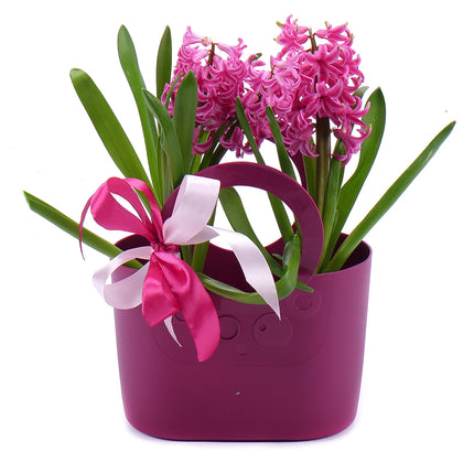 03000076_darcekova-plastova-taska-hyacinty