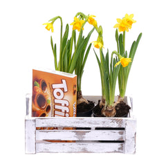 03000207_darcekovy-jarny-box-a-toffifee