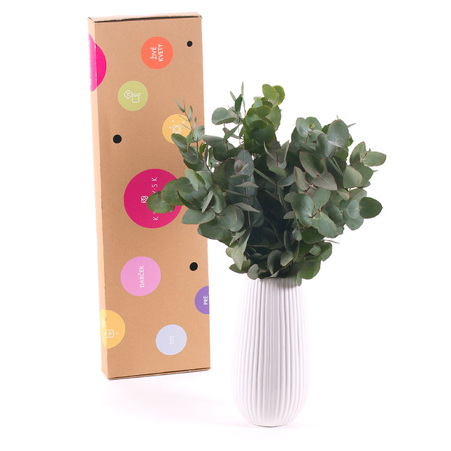 03000467_diy-kytica-eukalyptus-cinerea-do-vazy