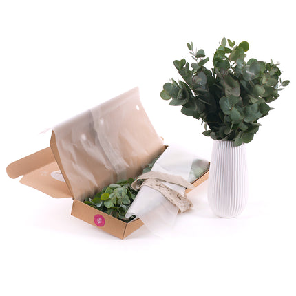 03000467_diy-kytica-eukalyptus-cinerea-do-vazy