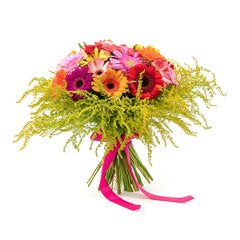 03000594_elite-farebne-gerbery-a-solidago