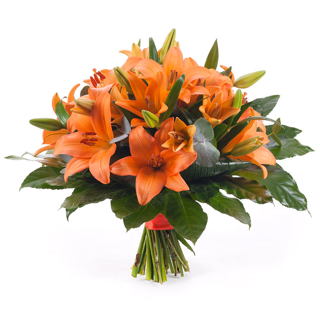 03000604_elite-orange-lily