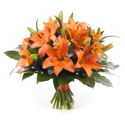 03000604_elite-orange-lily