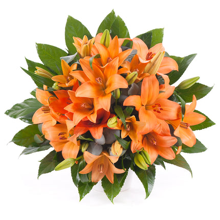 03000604_elite-orange-lily