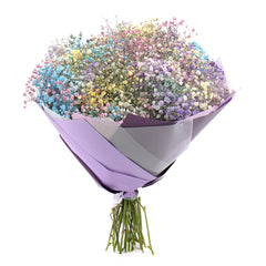 03000646_flolivery-kytica-farebna-gypsophila