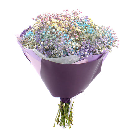 03000646_flolivery-kytica-farebna-gypsophila