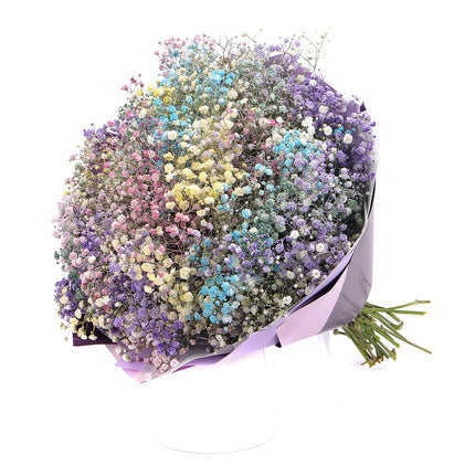 03000646_flolivery-kytica-farebna-gypsophila