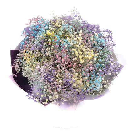 03000646_flolivery-kytica-farebna-gypsophila