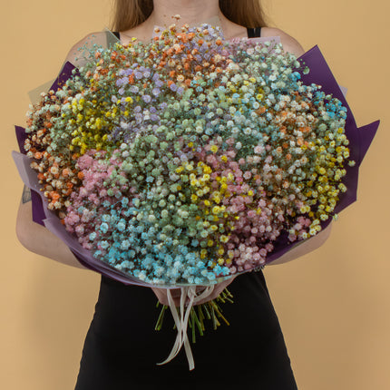 03000646_flolivery-kytica-farebna-gypsophila
