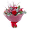 03000657_flolivery-sweet-cervene-ruze-a-astilbe