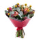 03000660_flolivery-sweet-farebne-amarylisy-a-skimmia
