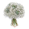 03001075_kytica-gypsophila-a-eukalyptus