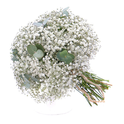 03001075_kytica-gypsophila-a-eukalyptus