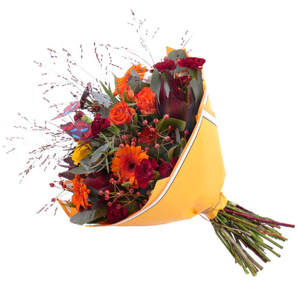 03001096_kytica-jesona-26