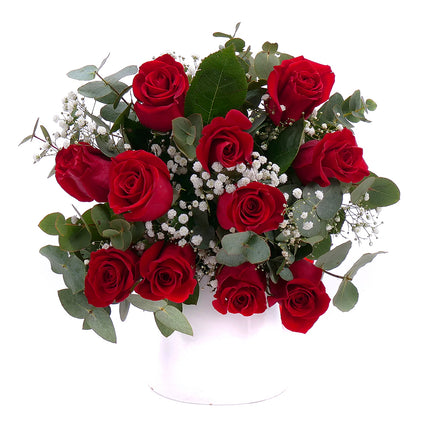 03001139_kytica-letana-42