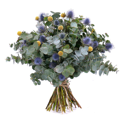 03001332_nature-kytica-eukalyptus-eryngium-a-craspedia