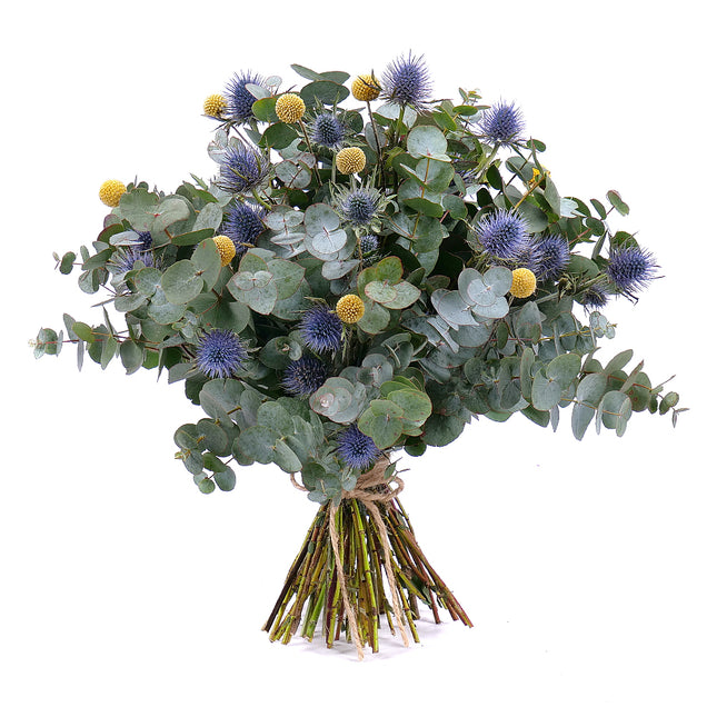 03001332_nature-kytica-eukalyptus-eryngium-a-craspedia