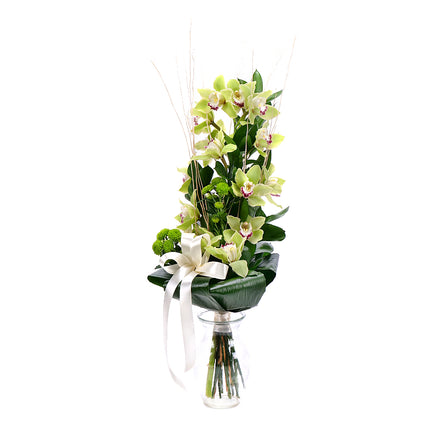 03001345_orchidea-zelena-na-vysoko