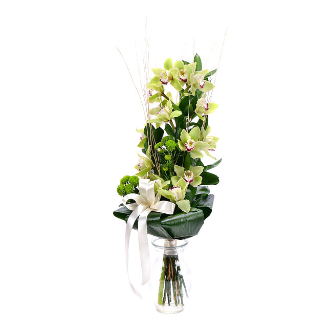 03001345_orchidea-zelena-na-vysoko