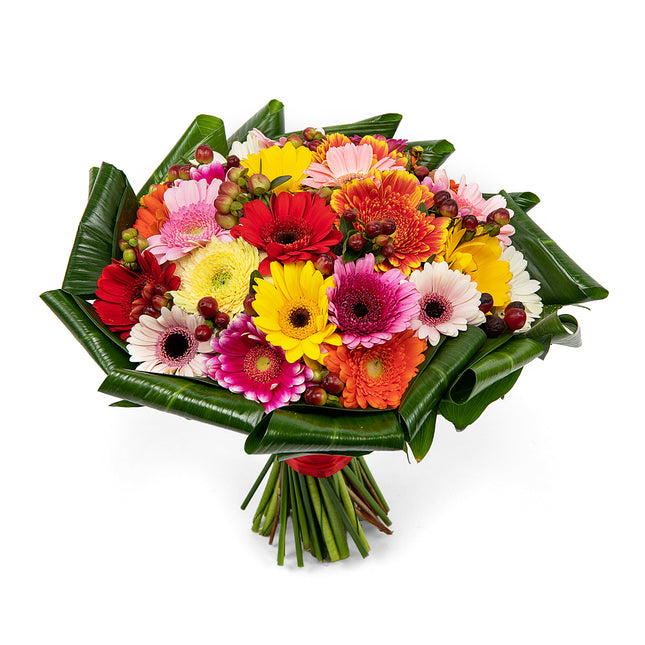 03001357_passion-farebne-mini-gerbery