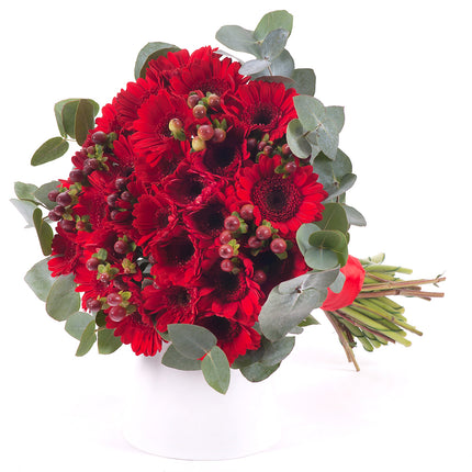 03001374_perla-cervene-mini-gerbery