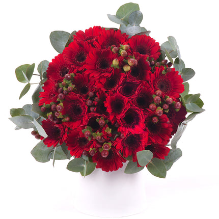 03001374_perla-cervene-mini-gerbery