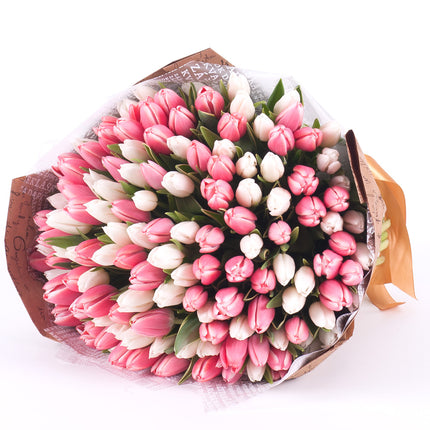 03001502_sweet-biele-a-ruzove-tulipany
