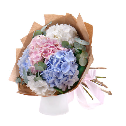 03001565_sweet-colored-hydrangeas