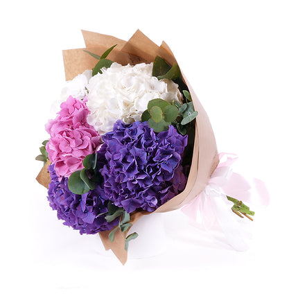 03001565_sweet-colored-hydrangeas