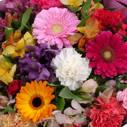03001573_sweet-farebne-kvety