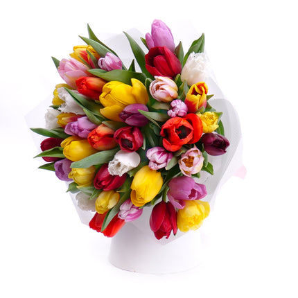 03001606_sweet-farebne-tulipany-pure