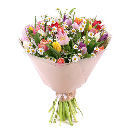 03001608_sweet-farebne-tulipany-s-kamilkami