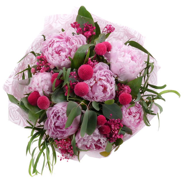 03001638_sweet-pivonie-sarah-bernard