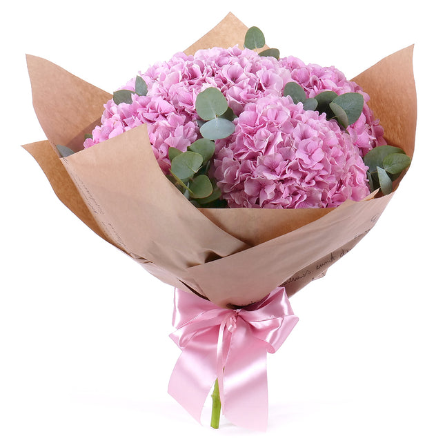03001642_sweet-ruzove-hortenzie