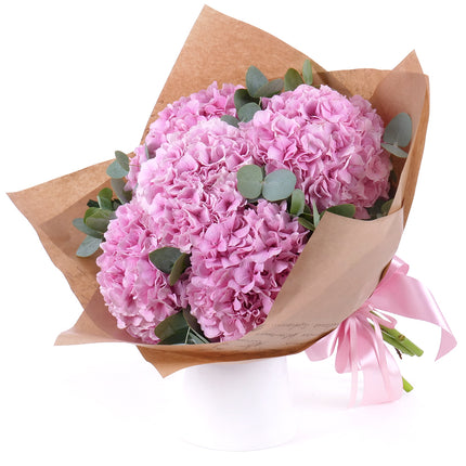 03001642_sweet-ruzove-hortenzie