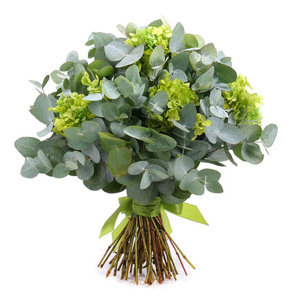 03001810_kytica-eukalyptus-in-eterno-tmavo-zelena-hortenzia