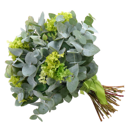 03001810_kytica-eukalyptus-in-eterno-tmavo-zelena-hortenzia