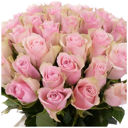 03001862_kytice-ruzove-ruze-pink-atena