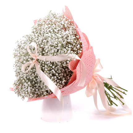 03001868_nature-kytice-gypsophila-bila