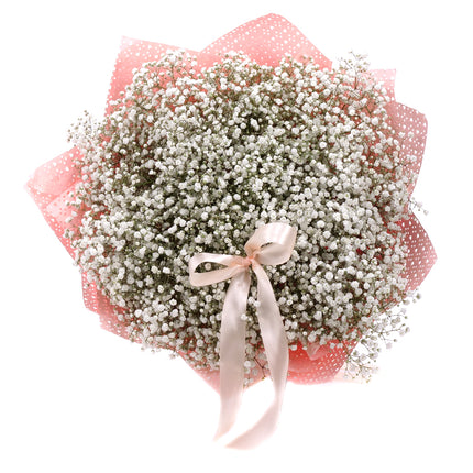 03001868_nature-kytice-gypsophila-bila