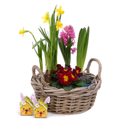 03001870_darkovy-jarni-set-9