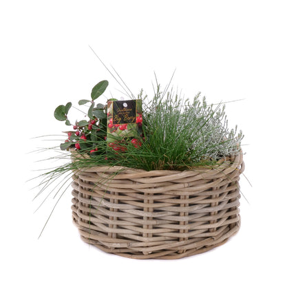 03001872_mix-rostlin-v-proutenem-kosiku