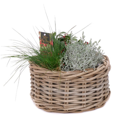 03001872_mix-rostlin-v-proutenem-kosiku