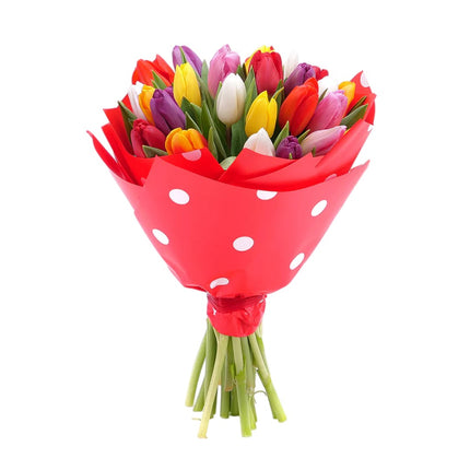 03001884_sweet-barevne-tulipany-pure-25